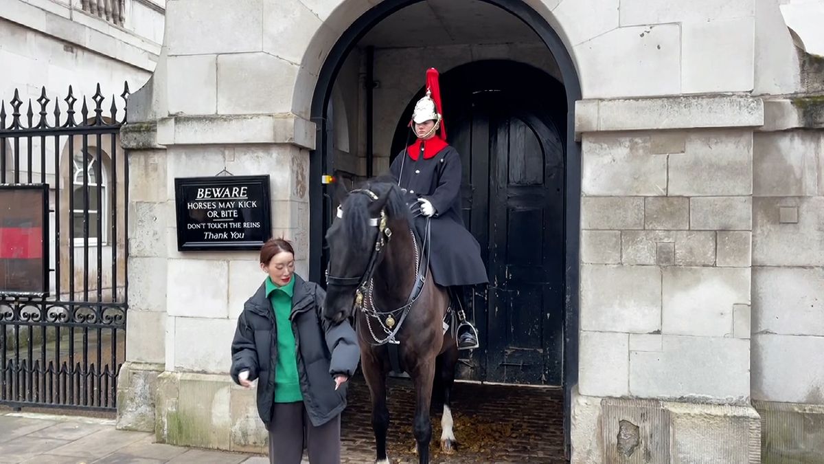 Kůň královské gardy se v Londýně zakousl nerozvážné turistce do rukávu